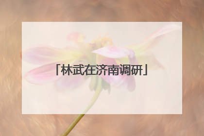 林武在济南调研