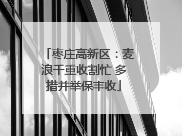 枣庄高新区：麦浪千重收割忙 多措并举保丰收