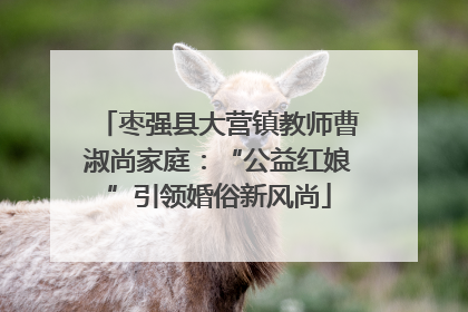 枣强县大营镇教师曹淑尚家庭：“公益红娘”引领婚俗新风尚