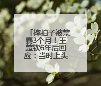 摔拍子被禁赛3个月！王楚钦6年后回应：当时上头了！称巴黎奥运被孙颖莎带着打，搭档8年“一个眼神就能懂”