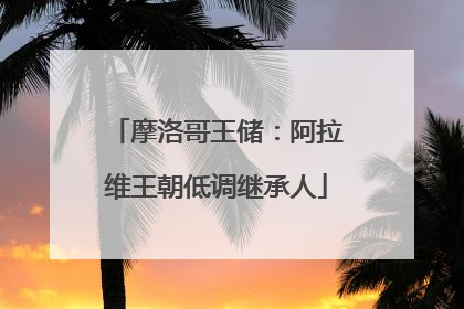 摩洛哥王储：阿拉维王朝低调继承人