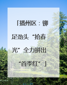 播州区：铆足劲头“抢春光”全力拼出“首季红”
