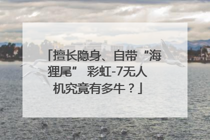 擅长隐身、自带“海狸尾” 彩虹-7无人机究竟有多牛？