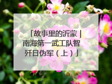 故事里的沂蒙｜南海第一武工队智歼日伪军（上）