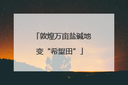 敦煌万亩盐碱地变“希望田”