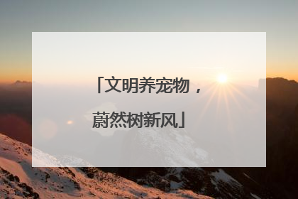 文明养宠物，蔚然树新风