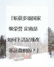 斩获多项国家级荣誉 定南是如何下活足球改革这盘棋的？