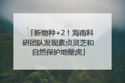 新物种+2！海南科研团队发现素贞灵芝和自然保护地壁虎