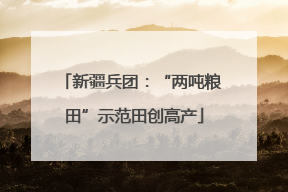 新疆兵团：“两吨粮田”示范田创高产
