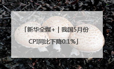 新华全媒+｜我国5月份CPI同比下降0.1%