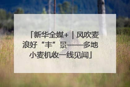 新华全媒+｜风吹麦浪好“丰”景——多地小麦机收一线见闻