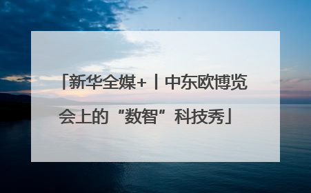 新华全媒+丨中东欧博览会上的“数智”科技秀