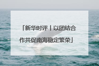 新华时评丨以团结合作共促南海稳定繁荣