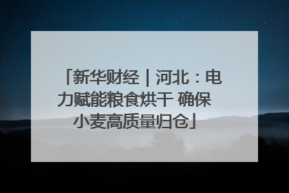 新华财经｜河北：电力赋能粮食烘干 确保小麦高质量归仓