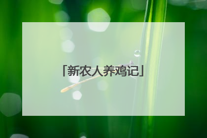 新农人养鸡记