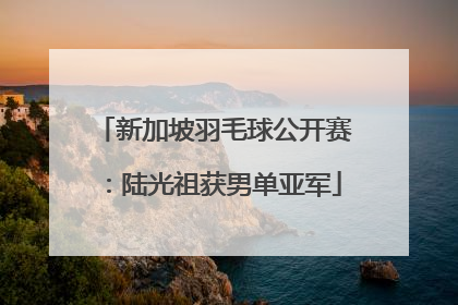 新加坡羽毛球公开赛：陆光祖获男单亚军