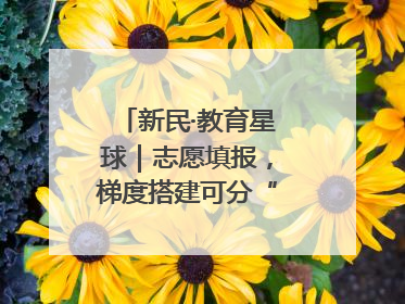 新民·教育星球｜志愿填报，梯度搭建可分“冲稳保”三档