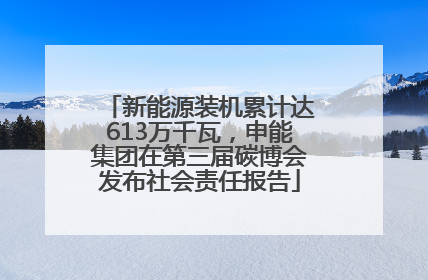 新能源装机累计达613万千瓦，申能集团在第三届碳博会发布社会责任报告