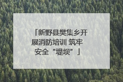 新野县樊集乡开展消防培训 筑牢安全“堤坝”