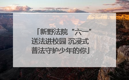 新野法院“六一”送法进校园 沉浸式普法守护少年的你
