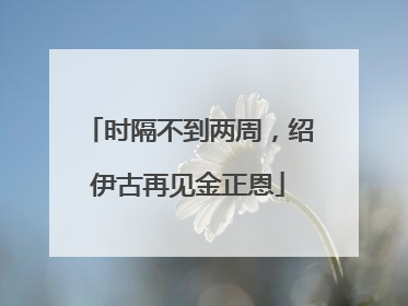 时隔不到两周，绍伊古再见金正恩