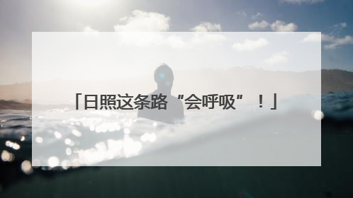 日照这条路“会呼吸”！