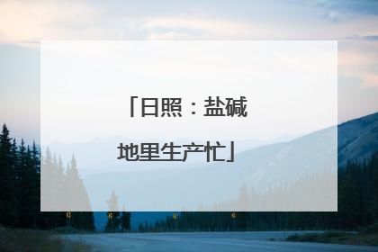 日照：盐碱地里生产忙