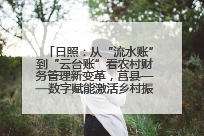 日照：从“流水账”到“云台账”看农村财务管理新变革，莒县——数字赋能激活乡村振兴“一池春水”