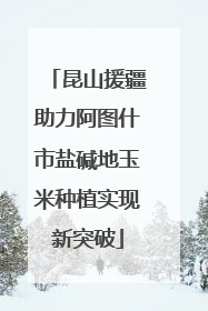 昆山援疆助力阿图什市盐碱地玉米种植实现新突破
