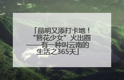 昆明又添打卡地！“簪花少女”火出圈——有一种叫云南的生活之365天