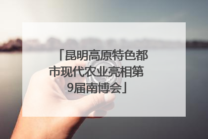 昆明高原特色都市现代农业亮相第9届南博会
