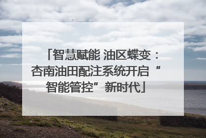 智慧赋能 油区蝶变：杏南油田配注系统开启“智能管控”新时代