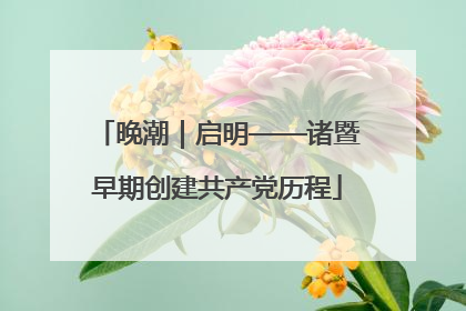 晚潮｜启明——诸暨早期创建共产党历程