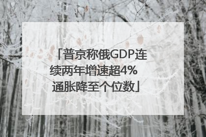 普京称俄GDP连续两年增速超4% 通胀降至个位数