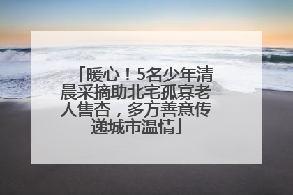 暖心！5名少年清晨采摘助北宅孤寡老人售杏，多方善意传递城市温情