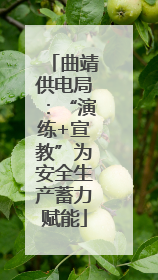曲靖供电局：“演练+宣教”为安全生产蓄力赋能
