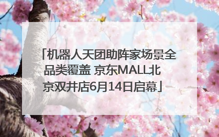 机器人天团助阵家场景全品类覆盖 京东MALL北京双井店6月14日启幕