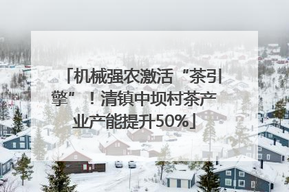 机械强农激活“茶引擎”！清镇中坝村茶产业产能提升50%