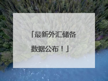 最新外汇储备数据公布！
