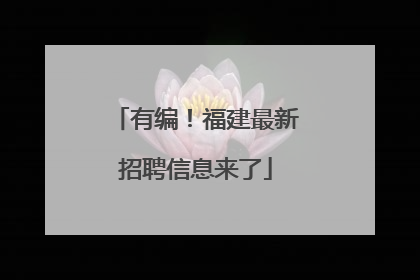 有编！福建最新招聘信息来了