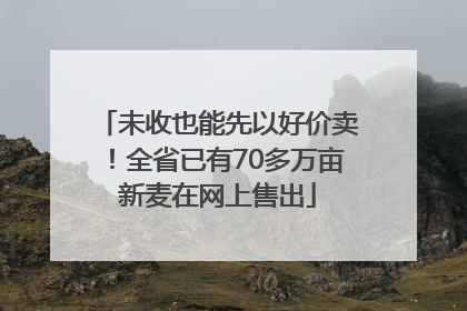 未收也能先以好价卖！全省已有70多万亩新麦在网上售出