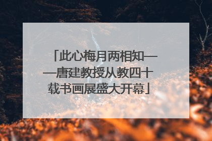 此心梅月两相知——唐建教授从教四十载书画展盛大开幕