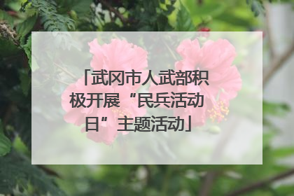 武冈市人武部积极开展“民兵活动日”主题活动