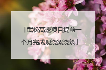 武松高速项目提前一个月完成现浇梁浇筑