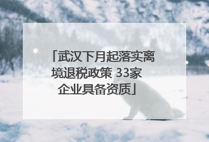 武汉下月起落实离境退税政策 33家企业具备资质