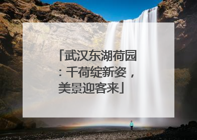 武汉东湖荷园：千荷绽新姿，美景迎客来