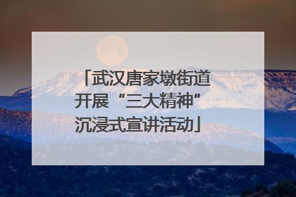 武汉唐家墩街道开展“三大精神”沉浸式宣讲活动