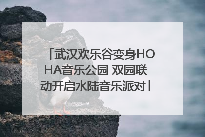 武汉欢乐谷变身HOHA音乐公园 双园联动开启水陆音乐派对