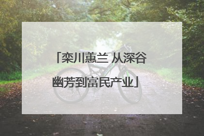 栾川蕙兰 从深谷幽芳到富民产业