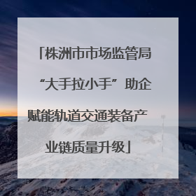 株洲市市场监管局“大手拉小手”助企赋能轨道交通装备产业链质量升级